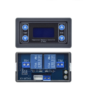 Termostato de XY-WTH1, termómetro con Control de temperatura y humedad, higrómetro, módulo controlador, relé DC 12V, pantalla LED, salida Dual