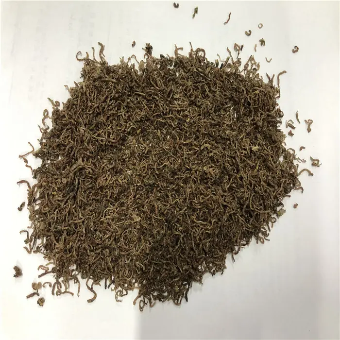 Wholesale high protein freeze dried bloodworm for fish feed