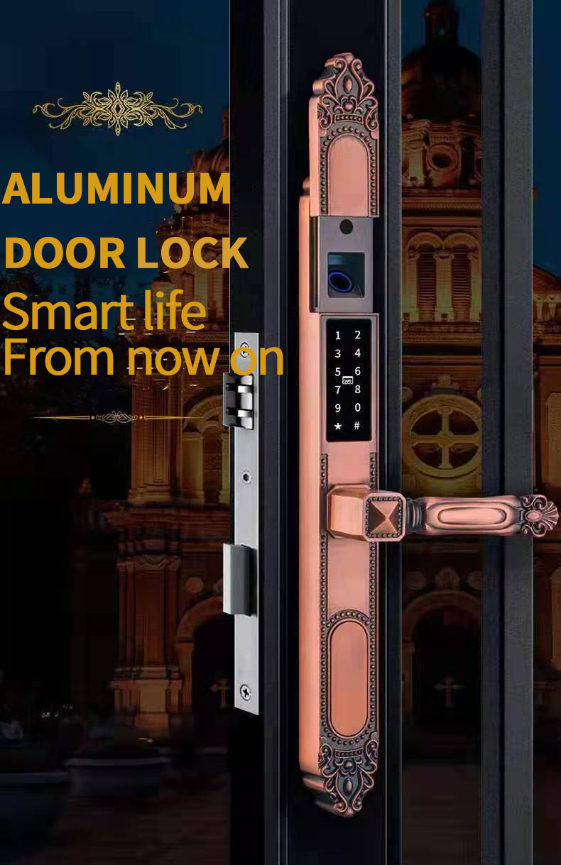 Waterproof Lock Hot Sale Doubwin S612 Smart Lock APP IC Card Password Digital Biometric Fingerprint Wifi Door Lock