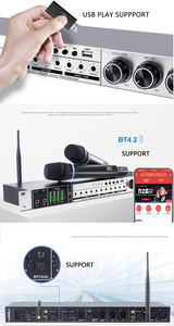 Chargeable Handheld <strong>Microphone</strong> BT <strong>Audio</strong> Processor DSP Digital Effects Sound Processor <strong>Audio</strong> with Wireless <strong>Microphone</strong> - Product Image 4