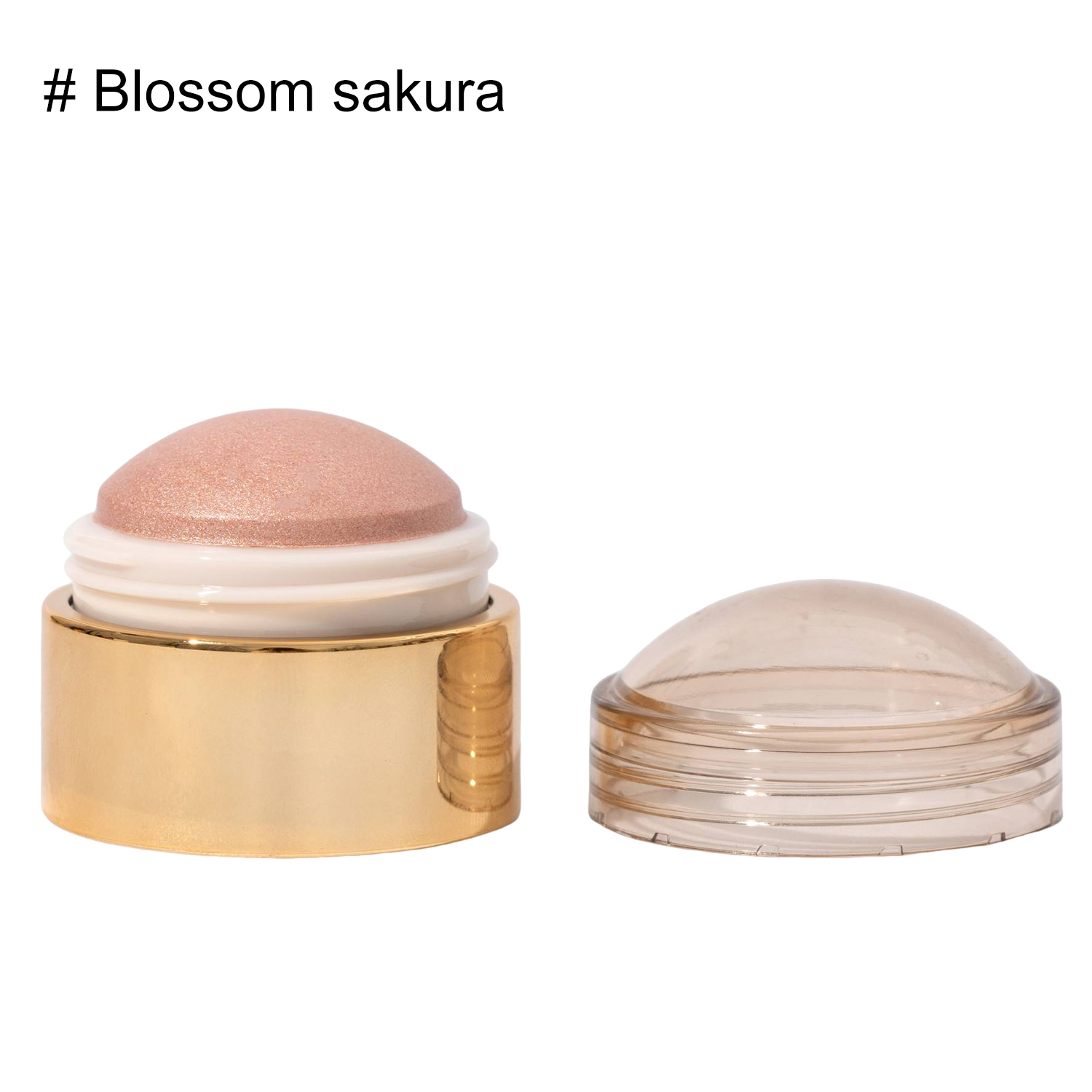 Sakura en fleurs