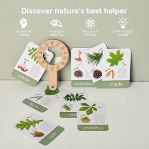 Preschool Science Magnifier Early <strong>Learning</strong> STEM Activity Wooden Magnifying Glass <strong>Explorer</strong> Set Nature Observation - Product Image 6