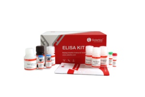 Solarbio İnsan programlanmış ölüm-bilimsel araştırma için 1 PD-L1 B7-H1 Elisa seti - Product Image 3
