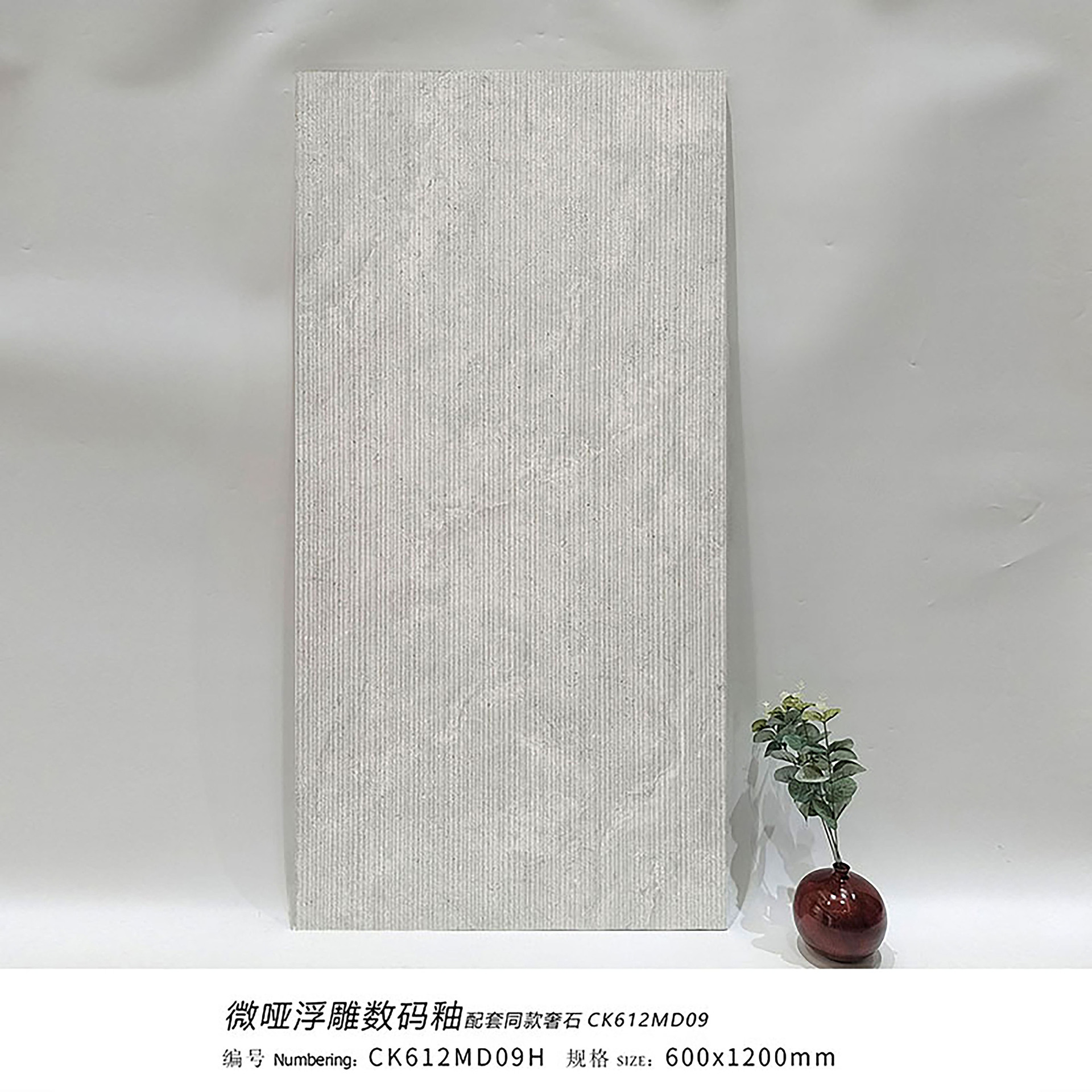 Pologne spécial blanc gris ck612md09h - 600x1200mm