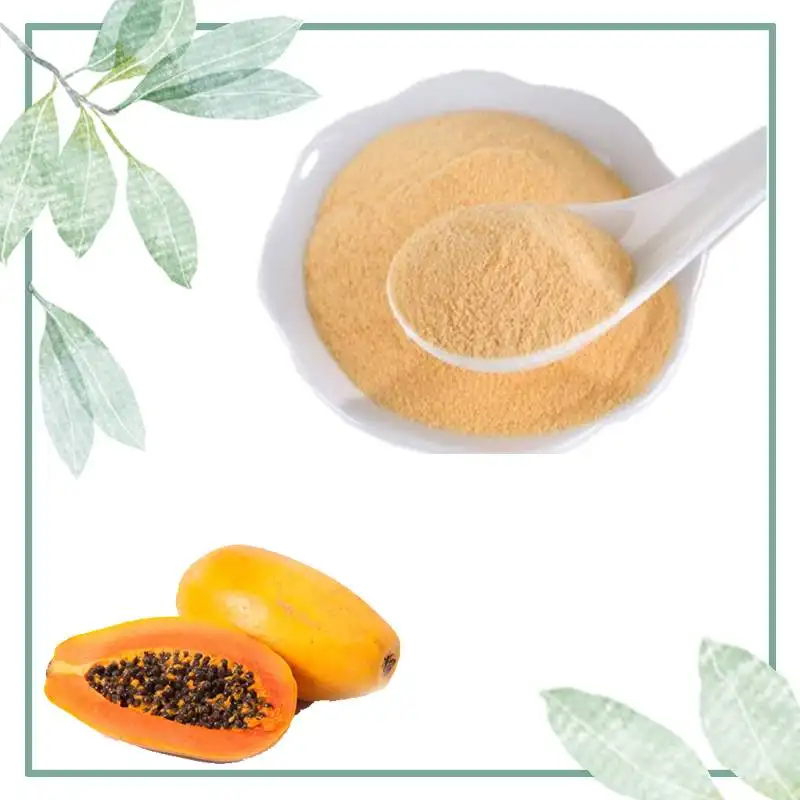 Extracto de fruta natural Extracto de papaya Polvo de fruta de papaya Polvo de papaya