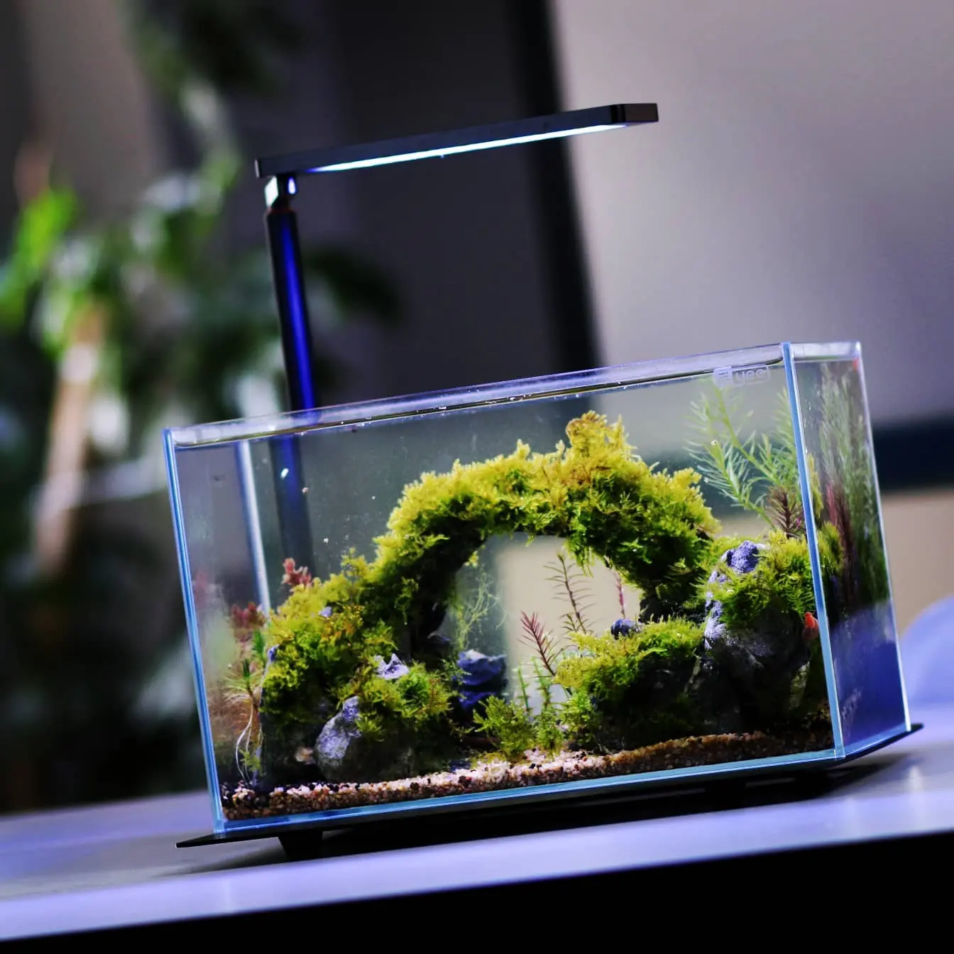 MICMOL Vollspektrum-Fischbecken-Lichtlampe Led Aquatisches Bepflanztes Aquariumlicht für Pflanzen Tank