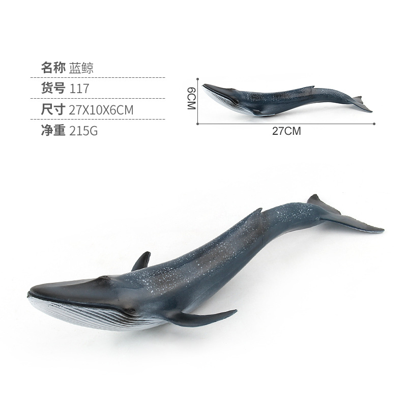 Blue Whale