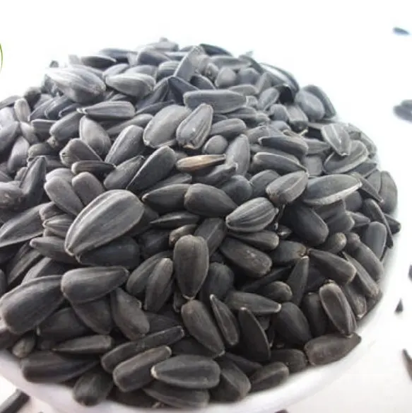 different types dried Sunflower seeds 5009 363 361 601 oil sunflower seeds for bird food