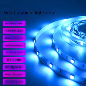 5m akıllı RGB LED şerit işık USB bakır IP20 Home RoHS sertifikalı esnek aydınlatma çözümleri ev dekor için ses kontrolü - Product Image 4