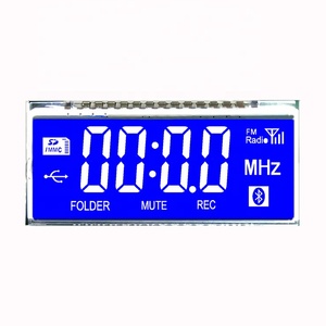 Shenzhen Custom Factory 4-stelliges 7-Segment-LCD-Anzeigemodul