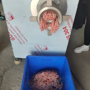 重型破碎机骨绞肉机/大绞肉机
