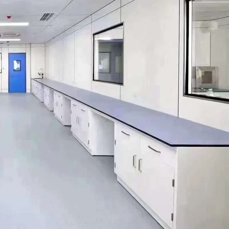 Muebles de laboratorio Banco de trabajo de pared de laboratorio Mesa de equipo de pared de laboratorio de alta calidad y resistencia a ácidos y álcalis