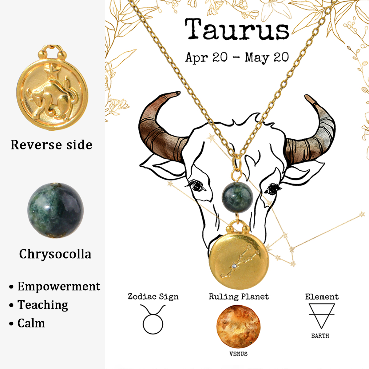 NE240212-2 Taurus
