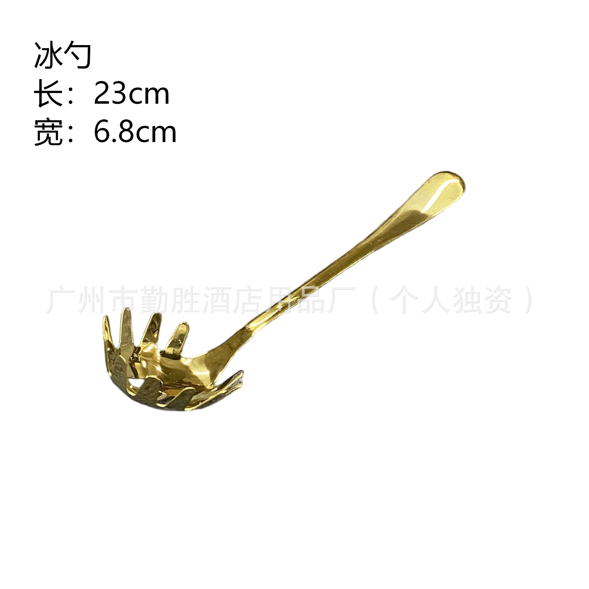 Ice Scoop