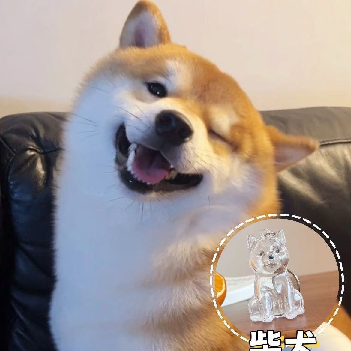 Aumento en el número de perros Shiba.