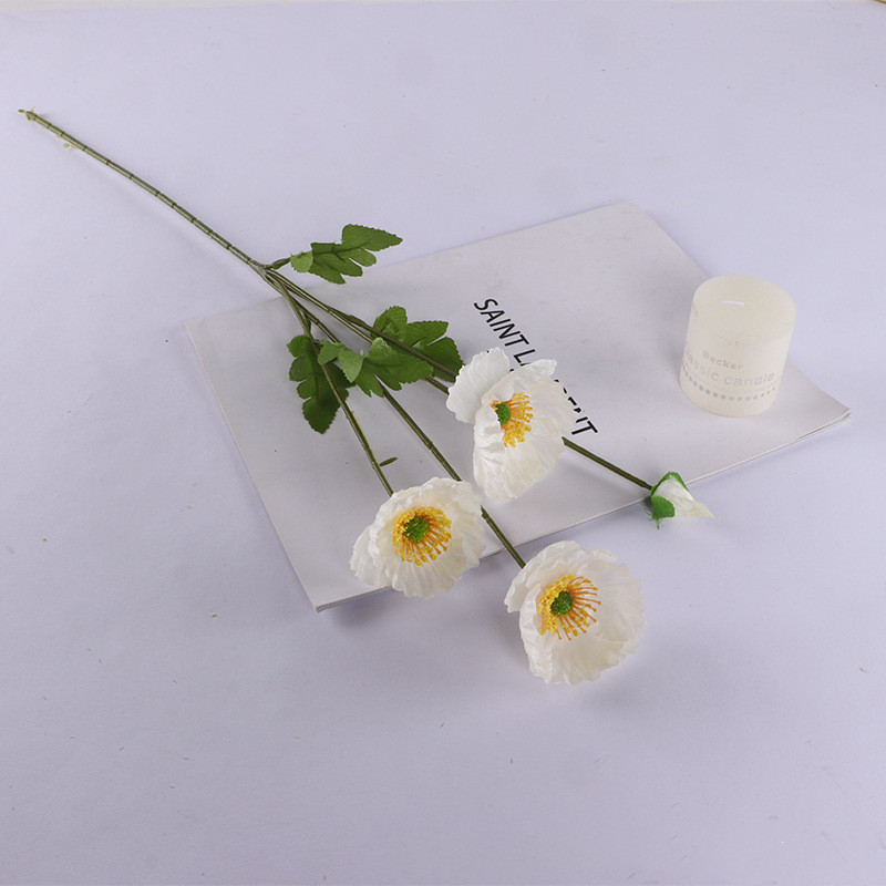 Blanc