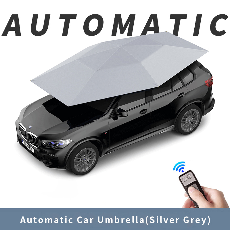 Gris argenté automatique