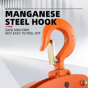 1ton Manual <strong>Chain</strong> Hoist with G80 Load <strong>Chain</strong> 0.75 Ton to 9 Ton Hand Block Applicable for Hotels in <strong>Used</strong> Condition Grade VL Type - Product Image 2