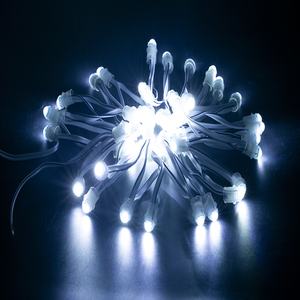 Ws2811 Pixel Ip68 wasserdichte 5V 12V 10MM Rgb Led Ws2811 Pixel Led-Lichtkette - Product Image 4