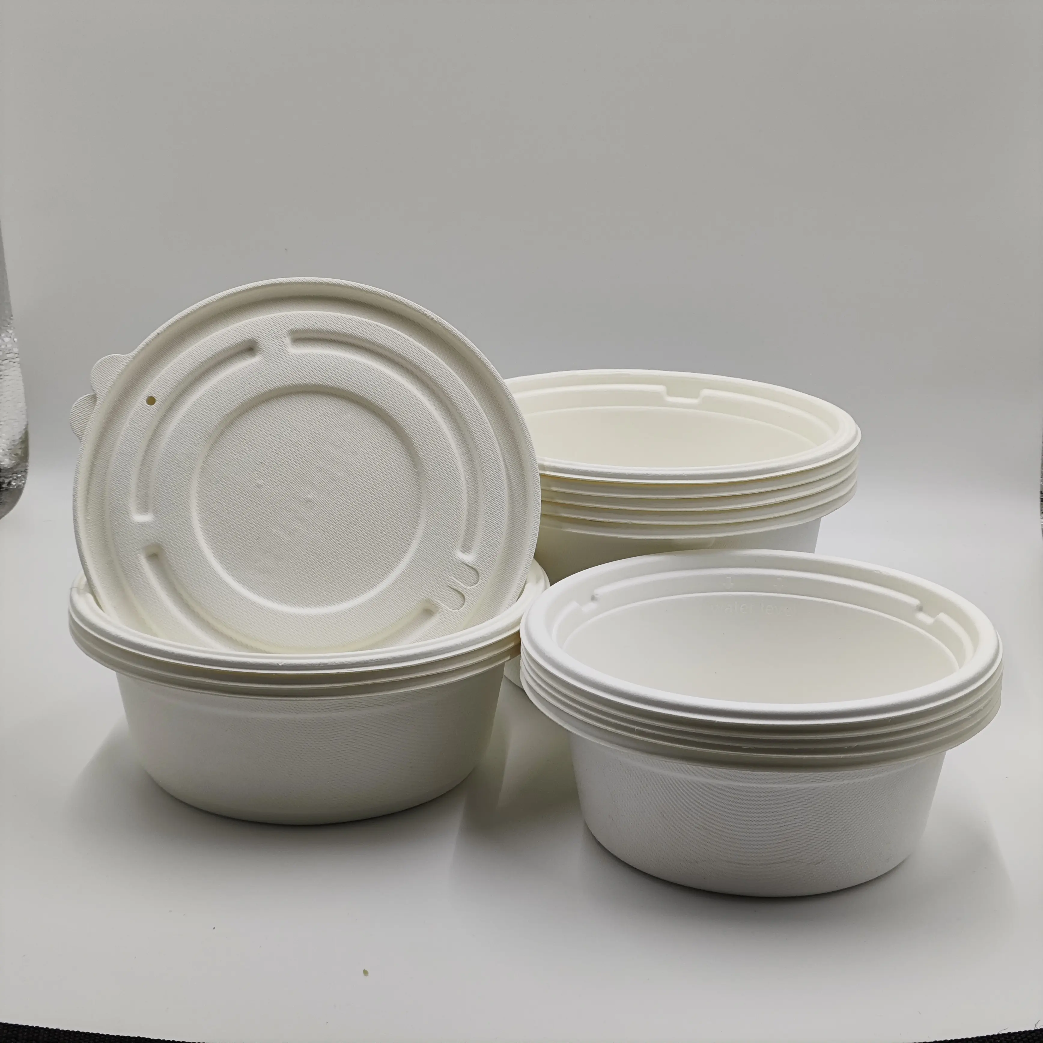 Vaisselle jetable biodégradable personnalisable de 10.9 pouces x 4 compartiments, assiettes alimentaires écologiques résistantes au micro-ondes