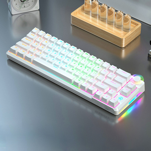 60% การฉีดขึ้นรูปสองสีแป้นพิมพ์แบบกลไกสำหรับเดสก์ท็อปปุ่มหมุน RGB 66คีย์สำหรับเล่นเกม - Product Image 2