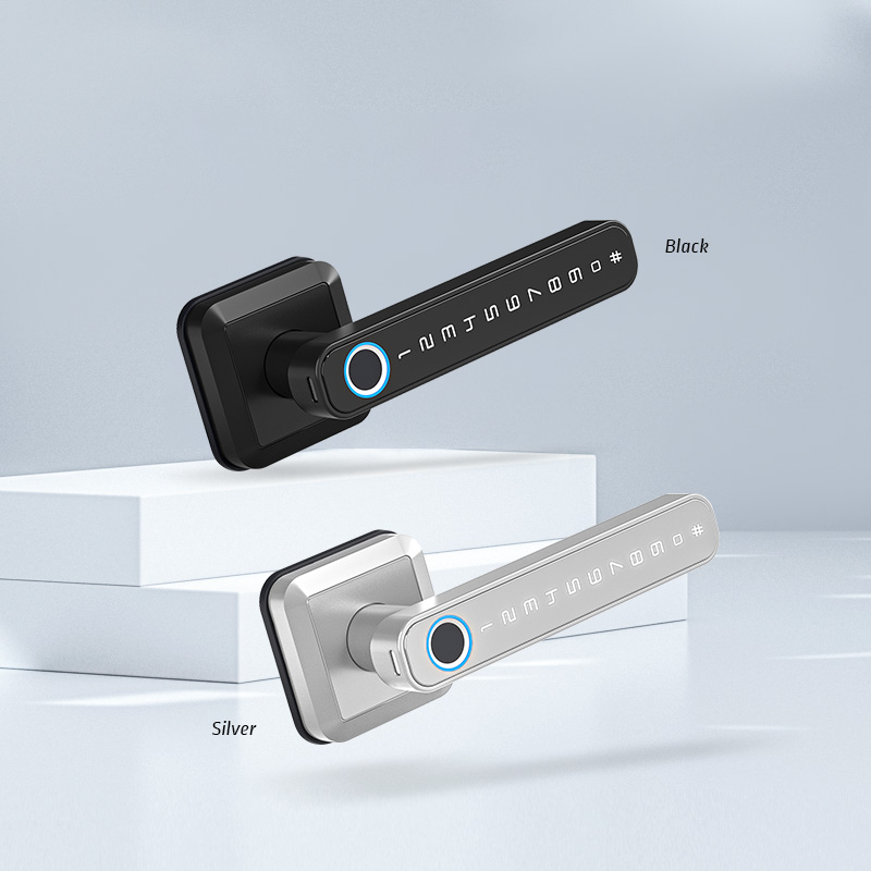 Wifi Remote Control Wireless Magnetic Electric Door Lock with Tuya Smart Life APP