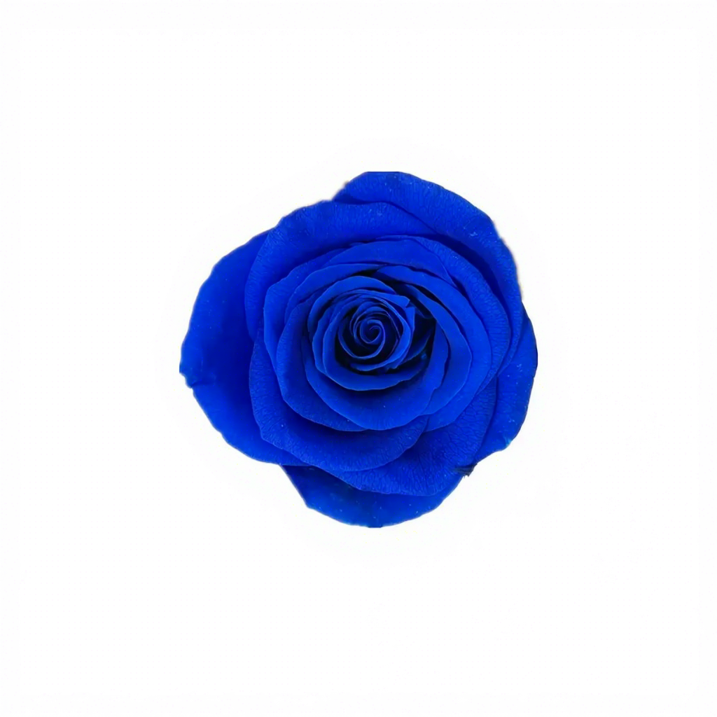 Blu Grado B