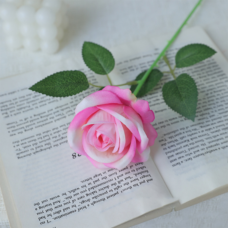 rosa colorato