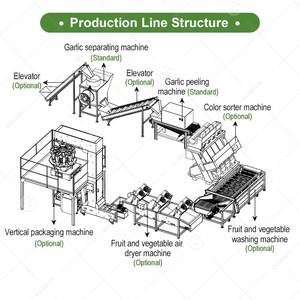 Tipo di catena elettrica pneumatica piccola aglio secco tipo pelapatate processo processo di buccia macchina fabbricazione del prezzo - Product Image 6