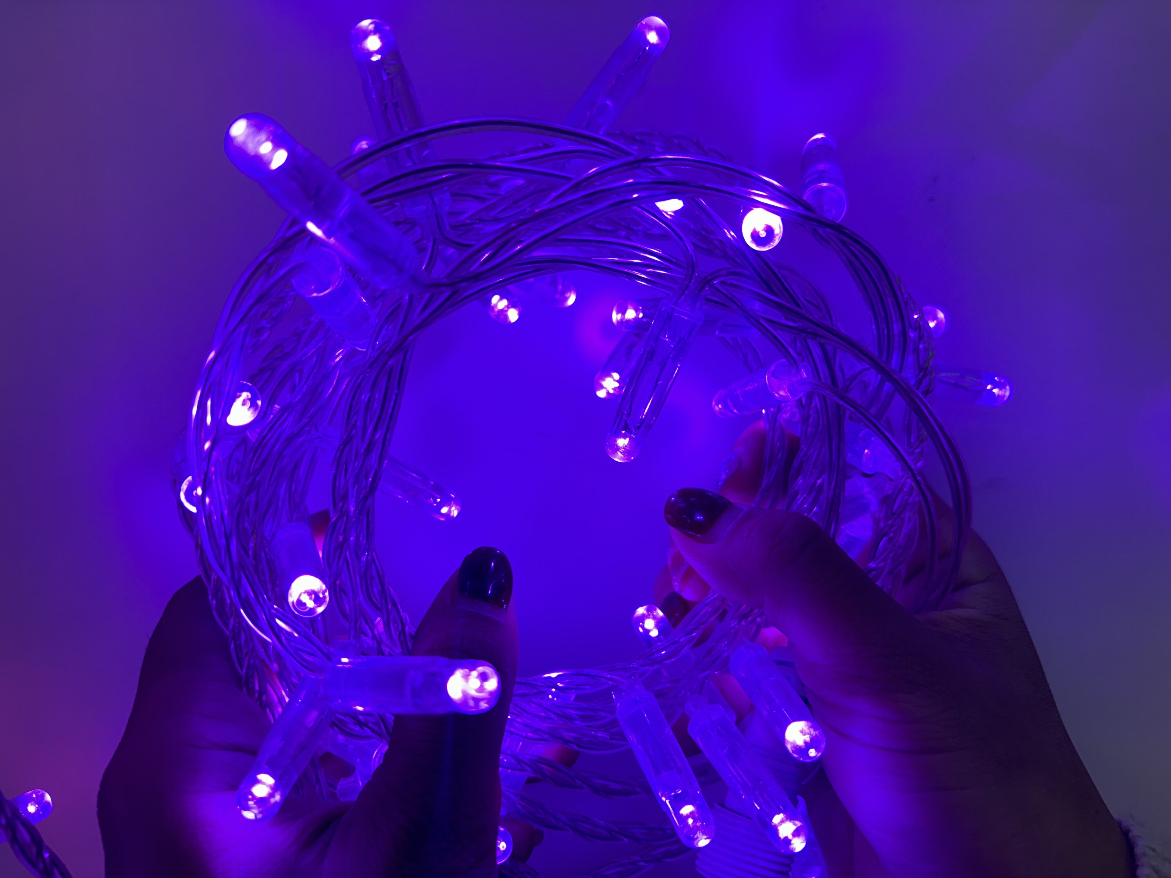 Pourpre