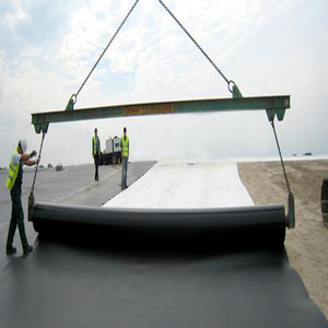 <strong>HDPE</strong> <strong>LDPE</strong> PVC EVA Material Flexible <strong>Hdpe</strong> Geomembrane 1mm for Fish Farming - Product Image 2
