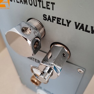 <span class=keywords><strong>Gs08</strong></span> Stoomkamergenerator, 3kw Tot 12kw, Stoommondstuk, Automatische Afvoer - Product Image 4