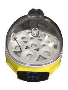 Quite Design 7 Eggs Incubator Small Size High Hatching Rate Egg Hatching Machine for Children - Product Image 2