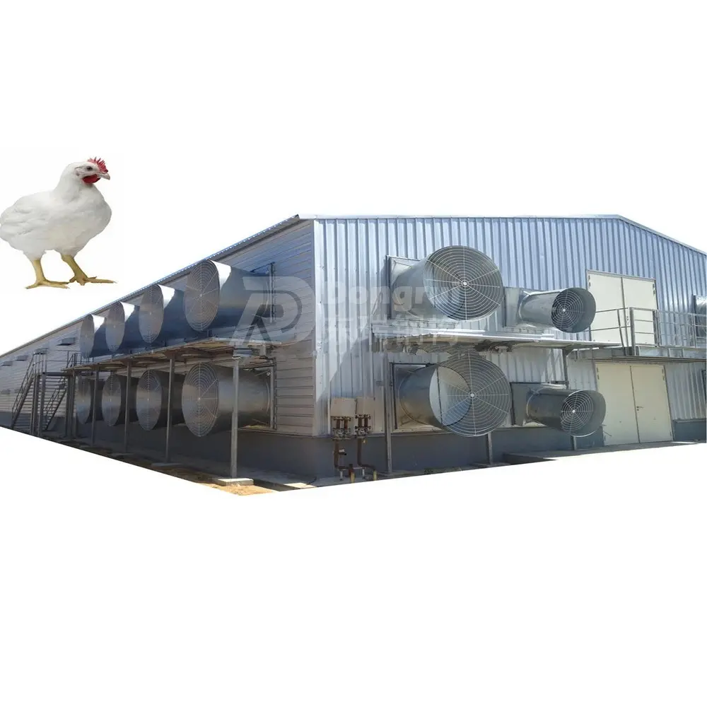 Struttura prefabbricata in acciaio pollo pollame allevamento case costruzione materiali da costruzione