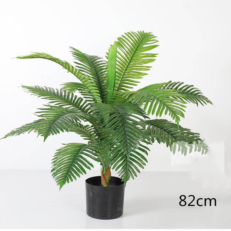 Palmier Areca 82cm