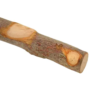 Kuş ayakta sopa ahşap levrek önlemek kayma interaktif kuş pencere levrek küçük orta kuş için vantuz ile standı - Product Image 5