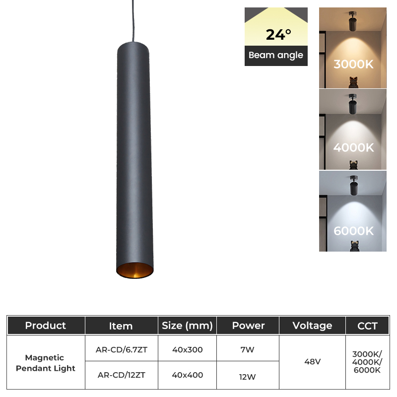 Magnetic Pendant Light