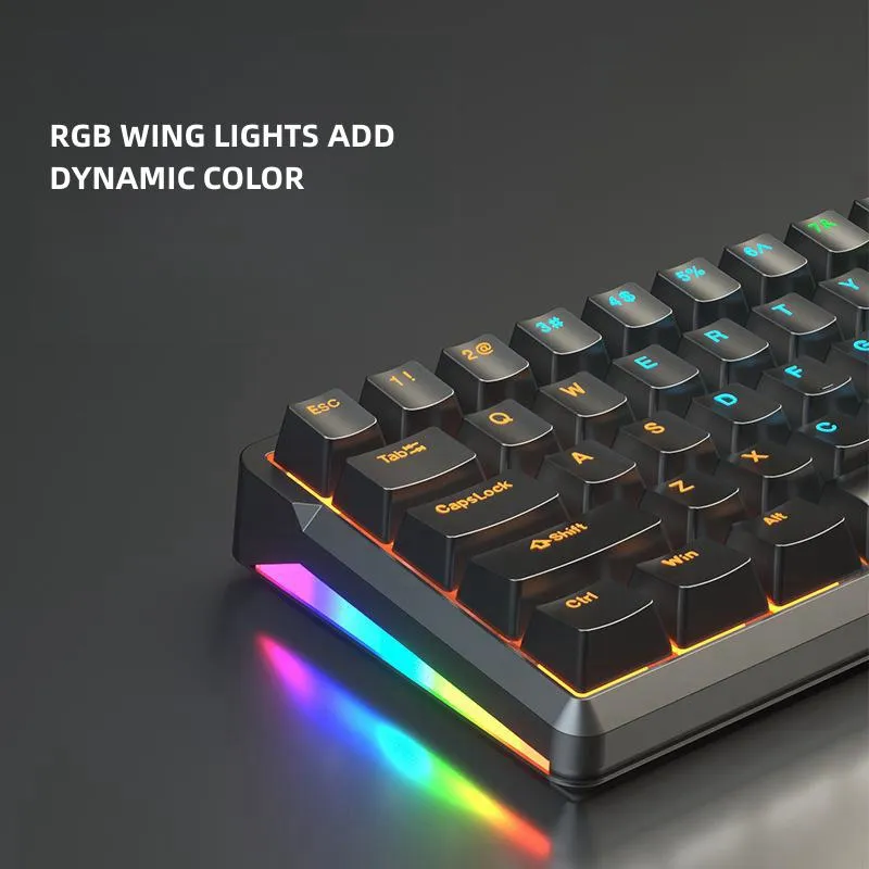 Hot swappable 60% chơi game Bàn Phím Cơ khí với 66-key có dây tên nơi Knob RGB đèn nền cho máy tính