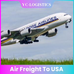 Судно самолетом, воздушное грузовое сообщение из Китая в США, от двери до двери, Воздушная доставка, грузовые перевозки, Великобритания, Япония, Канада, Германия, Франция, Испания - Product Image 6