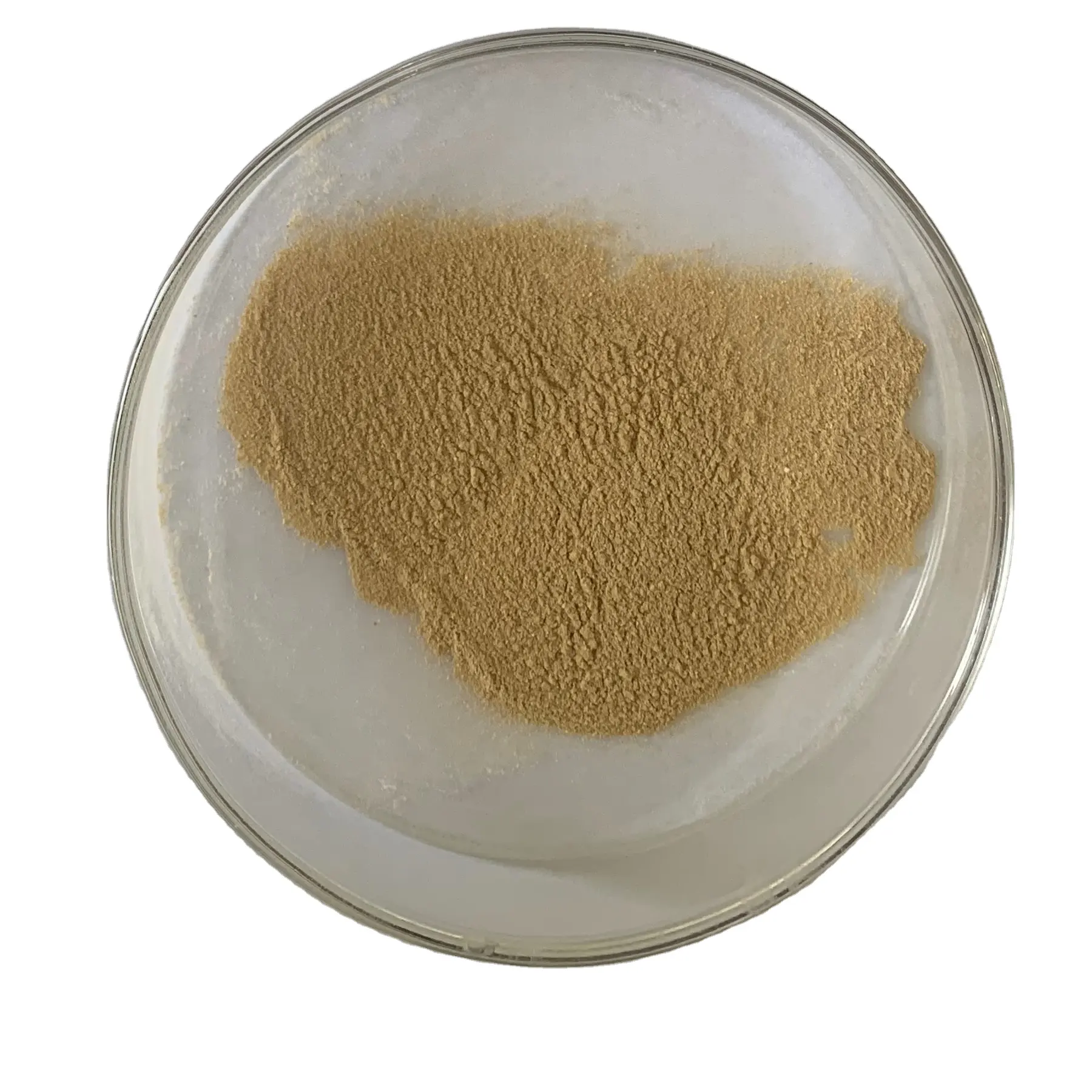 Additivo per mangimi-GOD3P-powder-Glucose ossidasi fabbrica glucosio ossidasi enzima