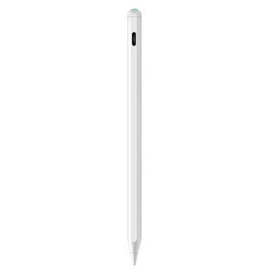 适用于iPad Pro 11/12.9英寸 (2018-2022) 空气4/5版本 (2018-2022) Mini6 (2021) 的可定制音频视频配件触控笔