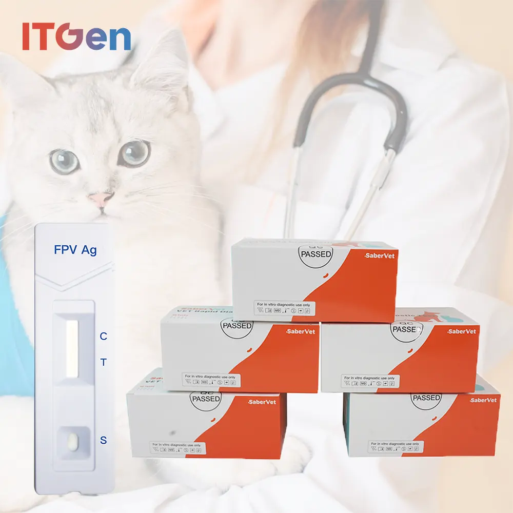 Veteriner teşhis ekipmanları Feline Panleucopenia virüs antijen hızlı Test kedi hastalığı algılama PET FPV ag hızlı test kitleri
