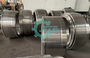 JZ SS X46CR13リングダイ用CPM Funsam Buhler Andritz Zhengchang Shendeペレットマシンマトリックス - Product Image 4