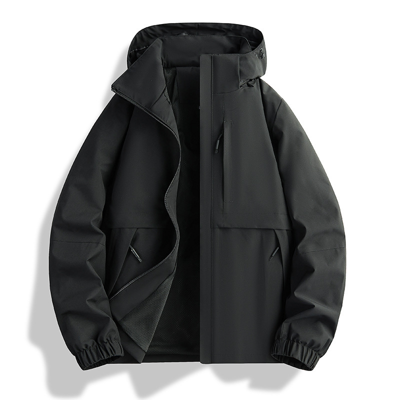 Noir