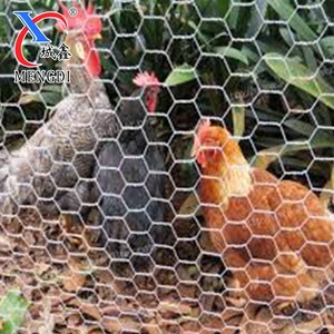1/4 "-2" apertura in Pvc zincato esagonale pollo animale recinzione ferro esagonale rotolo di rete metallica