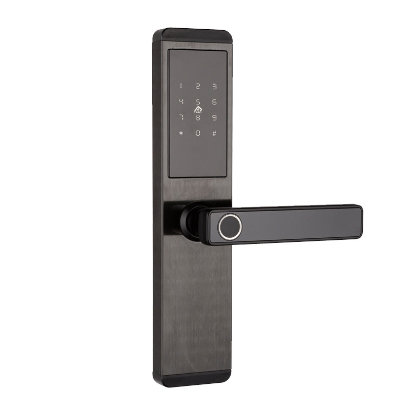 Serrure à empreinte digitale TTLOCK noire Q3