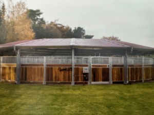 Marcheur de cheval de moteur importé européen de haute qualité - Product Image 2