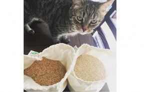 Các Danh Sách Mới Dây Kéo Túi Biểu Tượng Tùy Chỉnh Trắng <span class=keywords><strong>Template</strong></span> Thăng Hoa Tái Chế Túi Polyester Dây Rút - Product Image 4