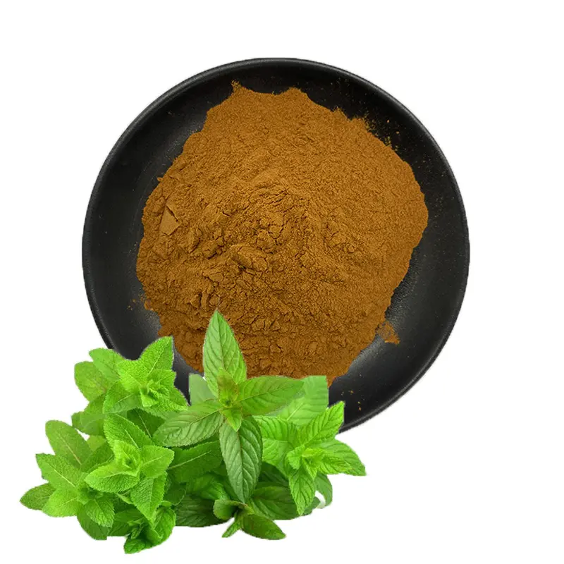 High quality Cosmetic raw materials Lemon Balm Extract