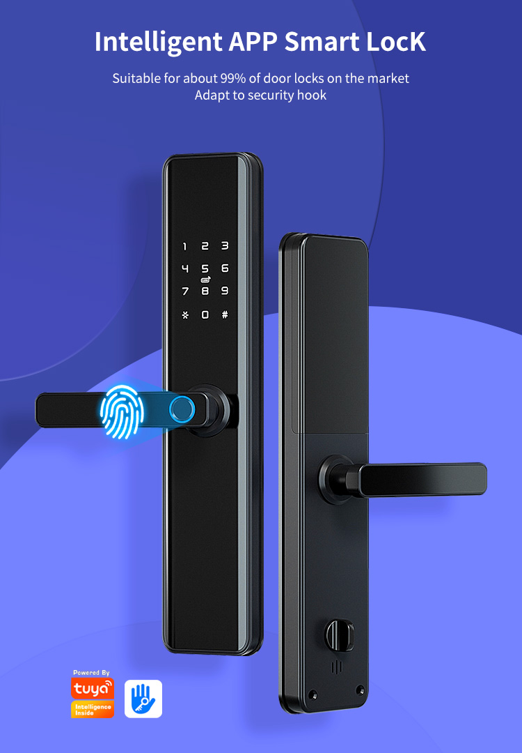 Economic Keyless Handle Fingerprint Door Lock with Wifi Tuya APP